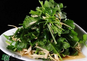 香菜是什么菜？香菜是陽(yáng)痿草嗎？