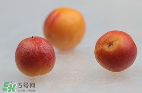 杏子怎么保存？長(zhǎng)杏子怎么保存時(shí)間長(zhǎng)？