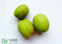 青杏怎么催熟？青杏怎么變黃？