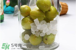 青杏酒怎么做？青杏酒的功效與作用