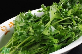 香菜是感光食物嗎？香菜是不是感光食物