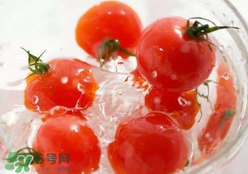 杏和西紅柿能一起吃嗎？杏子能和西紅柿一起吃嗎？