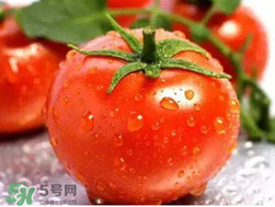 杏和西紅柿能一起吃嗎？杏子能和西紅柿一起吃嗎？