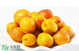 杏和荔枝能一起吃嗎？杏和荔枝一起吃會中毒嗎？