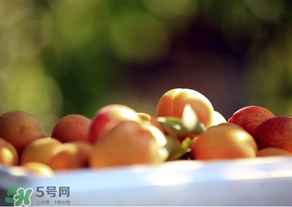 杏子好吃嗎？杏子可以多吃嗎？