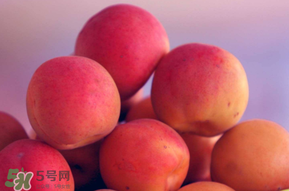 杏子好吃嗎？杏子可以多吃嗎？