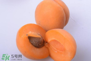 杏子好吃嗎？杏子可以多吃嗎？