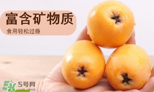 一歲寶寶可以吃枇杷嗎？一歲寶寶吃枇杷注意事項(xiàng)