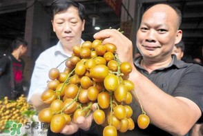 黃皮好吃嗎？黃皮是什么味道？