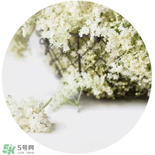 lululun plus面膜怎么樣？lululun plus面膜哪款好