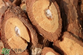 山葡萄根一斤多少錢？山葡萄根功效與作用
