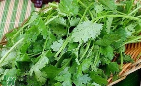 香菜洗腎有科學(xué)依據(jù)么？香菜能洗腎是真的嗎？