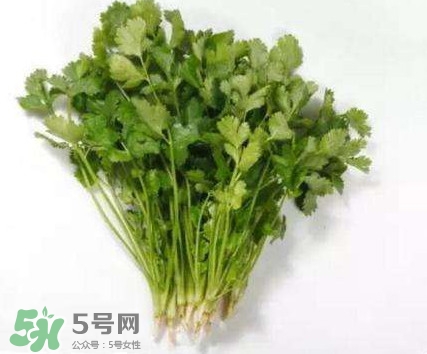 香菜洗腎有科學(xué)依據(jù)么？香菜能洗腎是真的嗎？