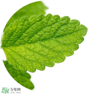 lululun plus面膜怎么樣？lululun plus面膜哪款好