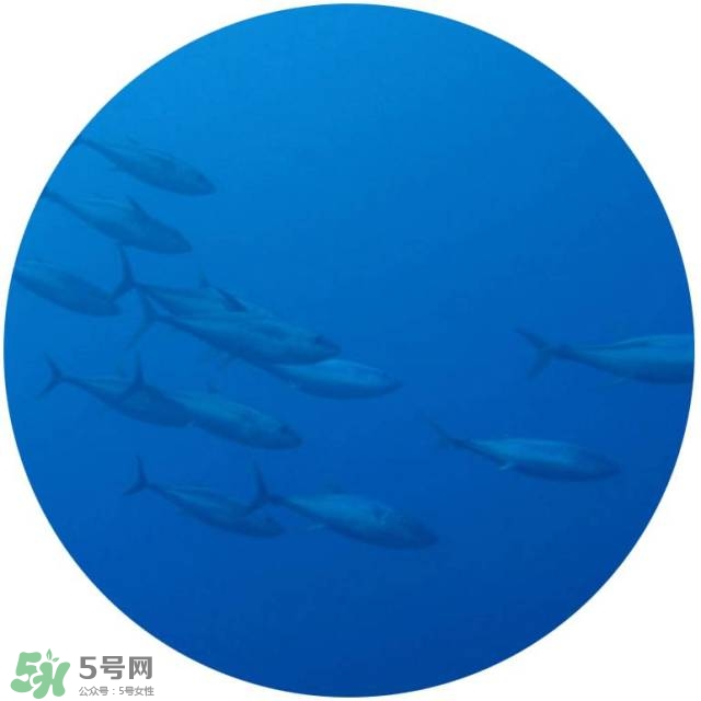 lululun plus面膜怎么樣？lululun plus面膜哪款好