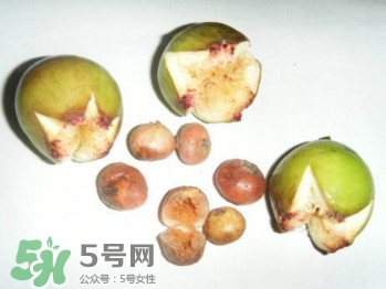 野地瓜滕熬水吃能治療什么??？野地瓜怎么吃