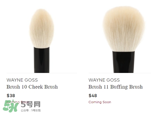 wayne goss是什么牌子？wayne goss化妝刷怎么樣？