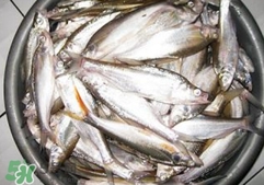 翹殼是什么魚？翹殼魚多少錢一斤2017？