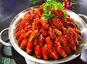 油燜大蝦吃哪些部位？怎么正確吃油燜大蝦？