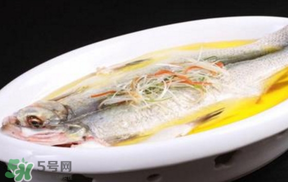 孕婦可以吃白條魚嗎？白條魚孕婦能吃嗎？