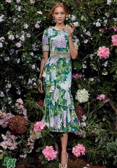 dolce gabanna杜嘉班納2017秋冬繡球花系列怎么樣_好看嗎？