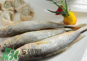 黃魚多少錢一斤？黃魚多少錢一斤2017？