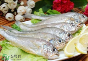 小黃魚多少錢一斤？野生小黃魚多少錢一斤？