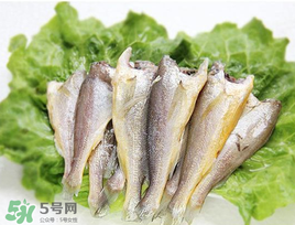 小黃魚可以養(yǎng)殖嗎？小黃魚能人工養(yǎng)殖嗎？