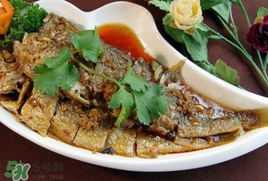 小黃魚可以養(yǎng)殖嗎？小黃魚能人工養(yǎng)殖嗎？