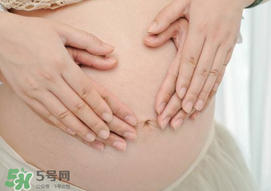 孕婦驅(qū)蚊植物推薦 孕婦能用植物驅(qū)蚊嗎？