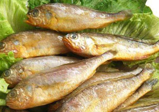 小黃魚多少錢一斤？野生小黃魚多少錢一斤？