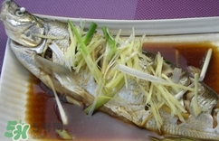 白條魚多少錢一斤2017？野生白條魚多少錢一斤