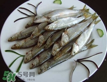 白條魚多少錢一斤2017？野生白條魚多少錢一斤