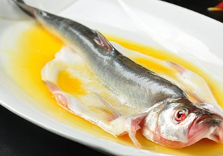 白條魚能長多大？白條魚可以長多大？