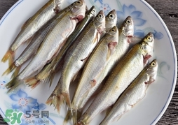 孕婦可以吃白條魚嗎？白條魚孕婦能吃嗎？