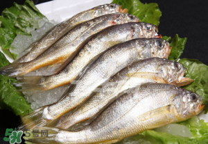 小黃魚不能和什么一起吃？小黃魚和什么相克？