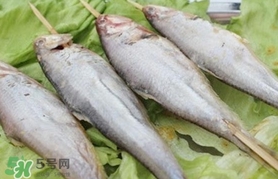 馬口魚怎么釣？馬口魚什么時候釣最好