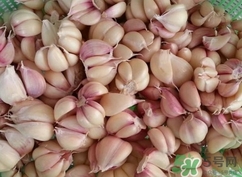 新蒜頭能曬干嗎？新鮮蒜頭曬干要多久