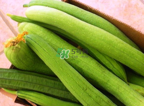 7月份吃什么蔬菜？七月份吃什么蔬菜？