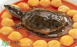 喝甲魚湯有什么好處？甲魚湯的功效與作用