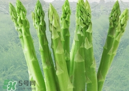蘆筍過(guò)敏怎么辦？蘆筍過(guò)敏怎么處理？