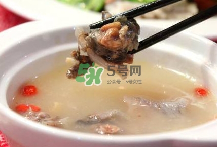 甲魚湯怎么做？甲魚湯的做法