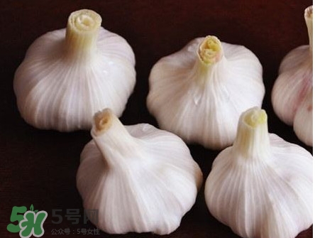 新蒜頭怎么弄成老蒜頭？新蒜頭和老蒜頭的區(qū)別