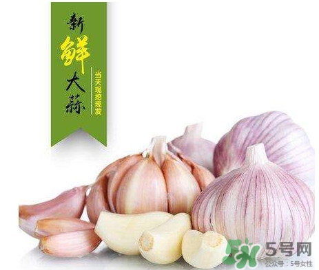 新蒜頭什么時候上市？新蒜頭幾月份上市