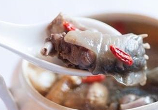 甲魚湯怎么做？甲魚湯的做法
