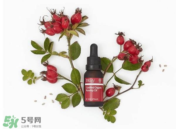 澳洲藥房5大玫瑰果油評(píng)測(cè)_對(duì)比_買(mǎi)哪個(gè)好