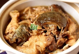 甲魚怎么做好吃？甲魚怎樣做最好吃