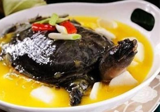 甲魚不能和什么一起吃？甲魚不能跟什么食物一起吃