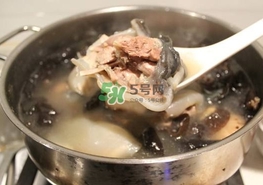 甲魚湯怎么做？甲魚湯的做法