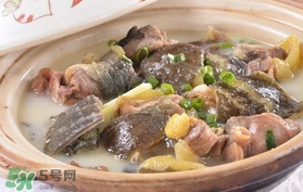 喝甲魚湯有什么好處？甲魚湯的功效與作用